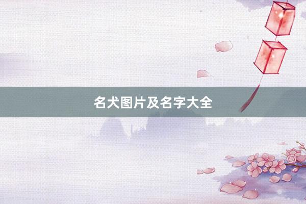 名犬图片及名字大全